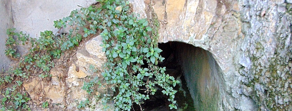 Particolare del canale di scolo delle acque di Santo Marco