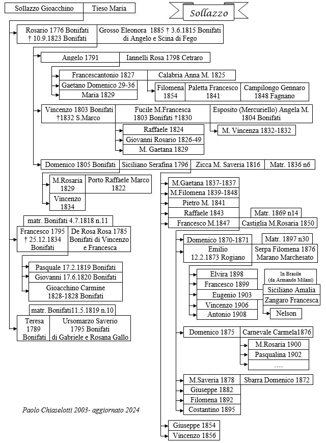 albero genealogico Sollazzo